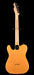 Pre Owned 2019 Fender American Professional Telecaster Butterscotch With OHSC