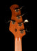 Ernie Ball Music Man StingRay Special 5 HH Bass Ocean Sparkle With Softshell Case