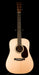 Martin Custom Shop D-28 Figured Black Walnut With Case