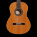 Alvarez AC-65 Artist 65 Series Classical Guitar Front Crop