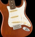 Fender American Performer Sassafras Stratocaster Rosewood Fingerboard Mocha With Gig Bag Front Body