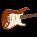 Fender Limited Edition American Performer Timber Stratocaster Sassafras Mocha Front Angle