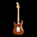 Fender American Performer Sassafras Stratocaster Rosewood Fingerboard Mocha With Gig Bag Back