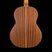 Kremona Artist Series Sofia Solid Cedar Top Nylon String Classical Back Crop