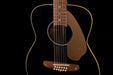 Pre-owned 1968 Fender Villager Acoustic - Rare Black Version