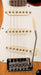 Used 2019 Fender American Professional Stratocaster Sienna Sunburst with Case